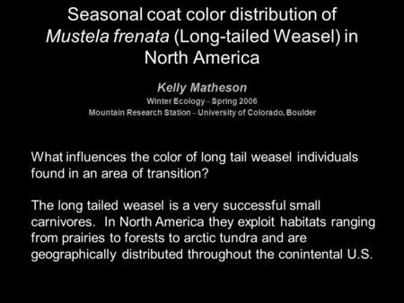 Seasonal coat color distribution of Mustela frenata (Long-tailed Weasel) in North America What influences the color of long tail weasel individuals found.
