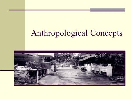 Anthropological Concepts. Fundamental Concepts & Principles Holism Function Relativism Comparison Structure Adaptation Culture.
