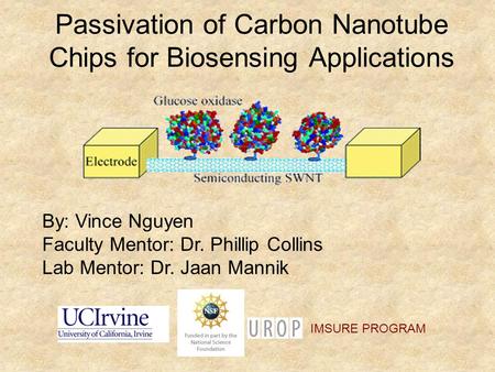 Passivation of Carbon Nanotube Chips for Biosensing Applications By: Vince Nguyen Faculty Mentor: Dr. Phillip Collins Lab Mentor: Dr. Jaan Mannik IMSURE.