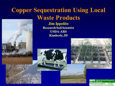 Copper Sequestration Using Local Waste Products Jim Ippolito Research Soil Scientist USDA-ARS Kimberly, ID.