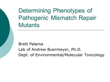 Determining Phenotypes of Pathogenic Mismatch Repair Mutants Brett Palama Lab of Andrew Buermeyer, Ph.D. Dept. of Environmental/Molecular Toxicology.