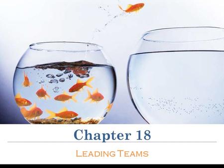 Chapter 18 Leading Teams.
