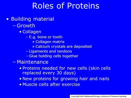 Roles of Proteins Building material –Growth Collagen –E.g. bone or tooth »Collagen matrix »Calcium crystals are deposited –Ligaments and tendons –Glue.
