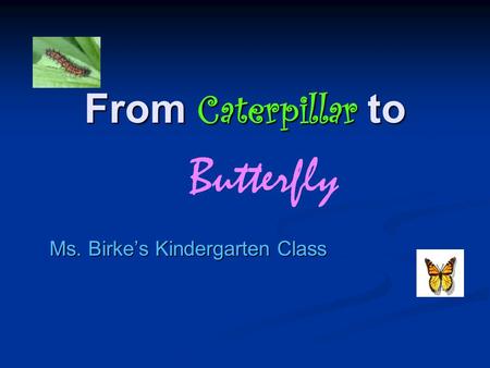 From Caterpillar to Ms. Birke’s Kindergarten Class Butterfly.