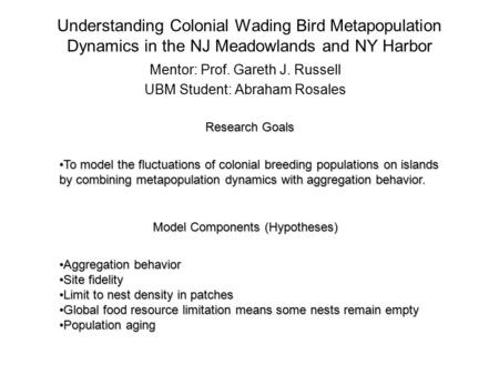 Understanding Colonial Wading Bird Metapopulation Dynamics in the NJ Meadowlands and NY Harbor Mentor: Prof. Gareth J. Russell UBM Student: Abraham Rosales.