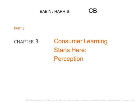 Consumer Learning Starts Here: Perception