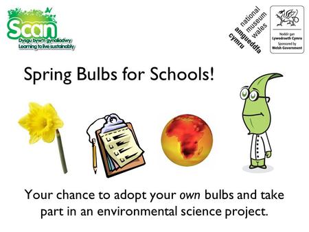 Your chance to adopt your own bulbs and take part in an environmental science project. Spring Bulbs for Schools!