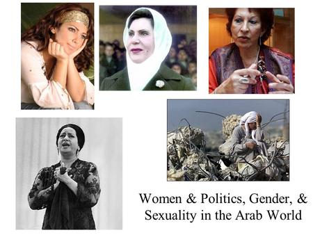 Women & Politics, Gender, & Sexuality in the Arab World.