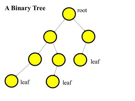 A Binary Tree root leaf. A Binary Tree root leaf descendent of root parent of leaf.