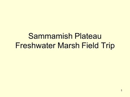 1 Sammamish Plateau Freshwater Marsh Field Trip. 2 Invasives.
