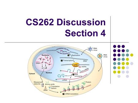 CS262 Discussion Section 4. Agenda for today Brief coverage of mutations. Discussion of material related to HMMs (on the blackboard)