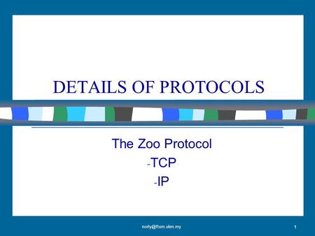 1 DETAILS OF PROTOCOLS The Zoo Protocol - TCP - IP.