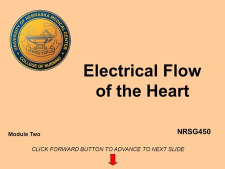 Electrical Flow of the Heart