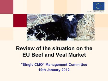 Single CMO Management Committee 19th January 2012 Review of the situation on the EU Beef and Veal Market.