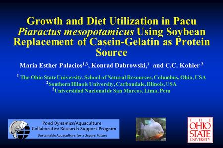 Growth and Diet Utilization in Pacu Piaractus mesopotamicus Using Soybean Replacement of Casein-Gelatin as Protein Source Maria Esther Palacios 1,3, Konrad.