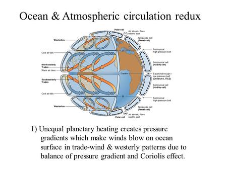 Ocean & Atmospheric circulation redux 1) Unequal planetary heating creates pressure gradients which make winds blow on ocean surface in trade-wind & westerly.