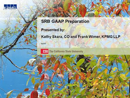 SRB GAAP Preparation Presented by: Kathy Skara, CO and Frank Wimer, KPMG LLP AUDIT.