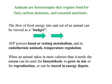 Animals are heterotrophs that require food for fuel, carbon skeletons, and essential nutrients. The flow of food energy into and out of an animal can be.