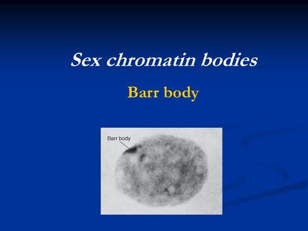 Sex chromatin bodies Barr body.