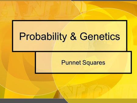 Probability & Genetics Punnet Squares Probability Probability Probability The likelihood that a particular event will occur. The likelihood that a particular.
