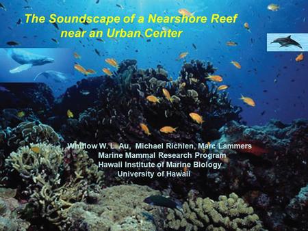The Soundscape of a Nearshore Reef near an Urban Center Whitlow W. L. Au, Michael Richlen, Marc Lammers Marine Mammal Research Program Hawaii Institute.