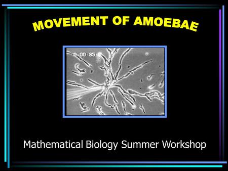 Mathematical Biology Summer Workshop DICTYOSTELIUM DISCOIDEUM Social Amoeba –act like either a unicellular or multicellular organism depending on circumstances.
