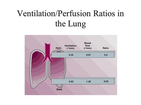 Ventilation/Perfusion Ratios in the Lung. O 2 Transport in the Blood O 2 is bound to hemoglobin (Hb) for transport in the blood –Oxyhemoglobin: O 2 bound.