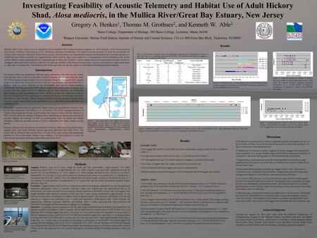Investigating Feasibility of Acoustic Telemetry and Habitat Use of Adult Hickory Shad, Alosa mediocris, in the Mullica River/Great Bay Estuary, New Jersey.