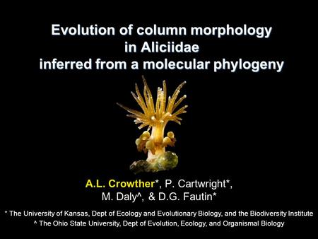 Evolution of column morphology in Aliciidae inferred from a molecular phylogeny A.L. Crowther*, P. Cartwright*, M. Daly^, & D.G. Fautin* * The University.