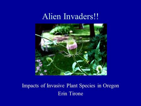 Alien Invaders!! Impacts of Invasive Plant Species in Oregon Erin Tirone.