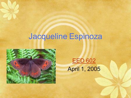 Jacqueline Espinoza EED 602 April 1, 2005 The Life Cycle of a Butterfly The Butterfly has many stages in it’s life.
