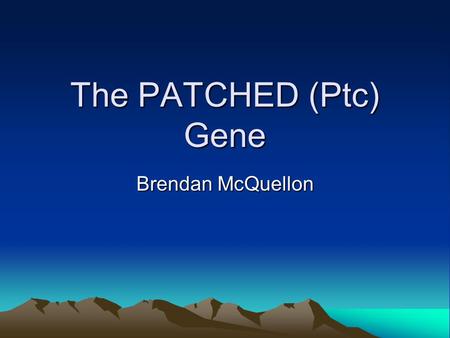 The PATCHED (Ptc) Gene Brendan McQuellon. What is PATCH Transmembrane surface receptor Binds ligands of Hedgehog(Hh) family Weinberg, 2007.