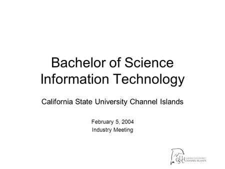 Bachelor of Science Information Technology California State University Channel Islands February 5, 2004 Industry Meeting.