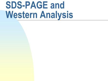 SDS-PAGE and Western Analysis. SDS-PAGE purposes n To separate protein molecules on the basis of molecular weight and n To determine the molecular weights.