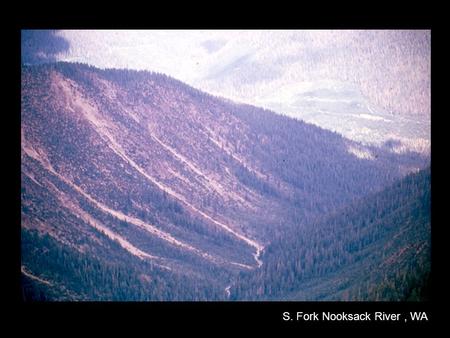 S. Fork Nooksack River, WA. Reasons for Land Clearing Agriculture Lumber Mining Urban Development.