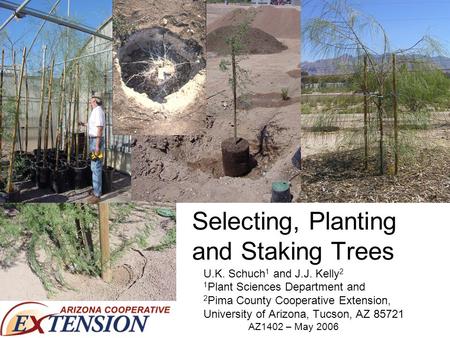Selecting, Planting and Staking Trees U.K. Schuch 1 and J.J. Kelly 2 1 Plant Sciences Department and 2 Pima County Cooperative Extension, University of.