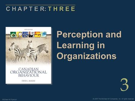 © 2006 The McGraw-Hill Companies, Inc. All rights reserved. McGraw-Hill Ryerson 3 C H A P T E R: T H R E E Perception and Learning in Organizations.