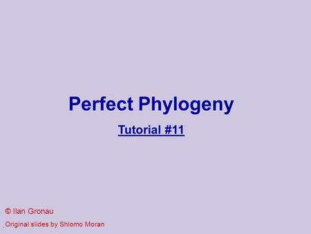 . Perfect Phylogeny Tutorial #11 © Ilan Gronau Original slides by Shlomo Moran.