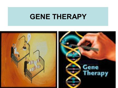 GENE THERAPY. In humans Cancer 69% General concerns The Food and Drug Administration (FDA) has not yet approved any human gene therapy product for sale.