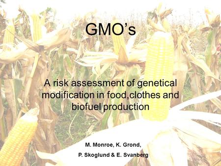 M. Monroe, K. Grond, P. Skoglund & E. Svanberg GMO’s A risk assessment of genetical modification in food,clothes and biofuel production M. Monroe, K. Grond,