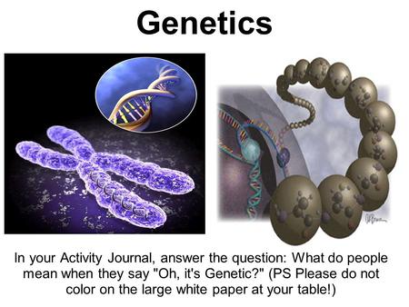 Genetics In your Activity Journal, answer the question: What do people mean when they say Oh, it's Genetic? (PS Please do not color on the large white.