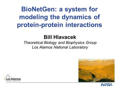 BioNetGen: a system for modeling the dynamics of protein-protein interactions Bill Hlavacek Theoretical Biology and Biophysics Group Los Alamos National.
