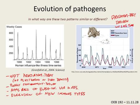 OEB 192 – 11.11.28 Evolution of pathogens (Grenfell et al., 2004. Science)