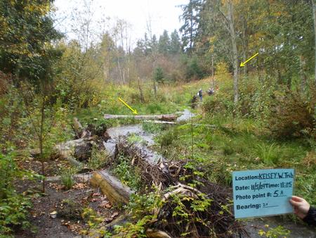 Location West Tributary Kelsey Creek Photo Point 5A Camera Point 5 Bearing 20 ̊ Goal Monitor stream restoration project Duration 10 years Regime 1 time.