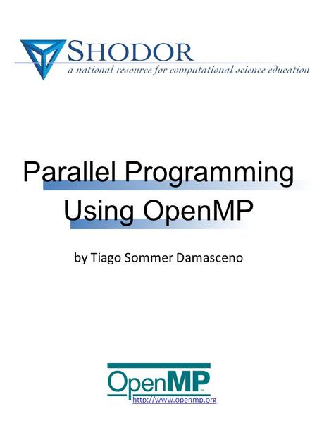 Parallel Programming by Tiago Sommer Damasceno Using OpenMP