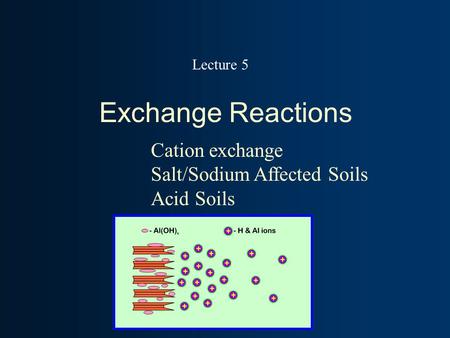Exchange Reactions Cation exchange Salt/Sodium Affected Soils Acid Soils Lecture 5.