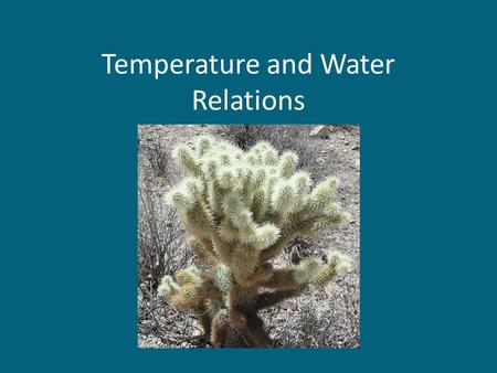 Temperature and Water Relations. region biosphere landscape ecosystem community interaction population individual Temperature and water are two significant.