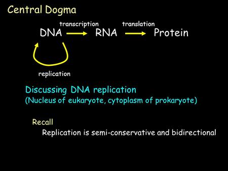Discussing DNA replication (Nucleus of eukaryote, cytoplasm of prokaryote) Central Dogma DNARNA Protein transcriptiontranslation replication Replication.