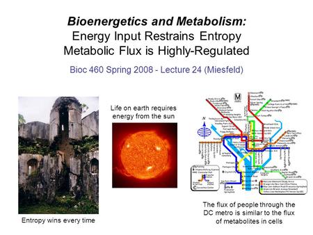 Bioenergetics and Metabolism: Energy Input Restrains Entropy Metabolic Flux is Highly-Regulated Bioc 460 Spring 2008 - Lecture 24 (Miesfeld) Entropy wins.