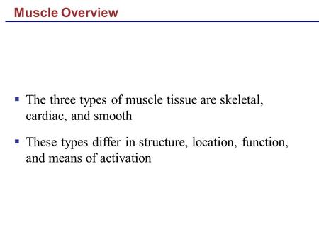 The three types of muscle tissue are skeletal, cardiac, and smooth